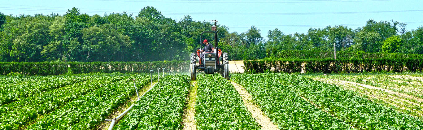 Swaziland National Agricultural Union (SNAU) is an apex body for all farmer organizations in Swaziland.